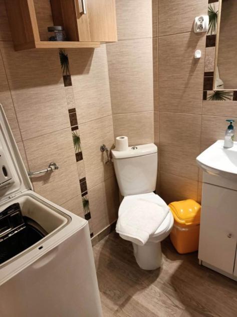 Willa Konradowka - Apartamenty Debowy, Klonowy, Kosowka I Limba Zakopane Esterno foto